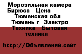 Морозильная камера Бирюса › Цена ­ 3 900 - Тюменская обл., Тюмень г. Электро-Техника » Бытовая техника   